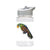 Water Bottle 500ml with Straw and Handle Drink Bottle, Parrot